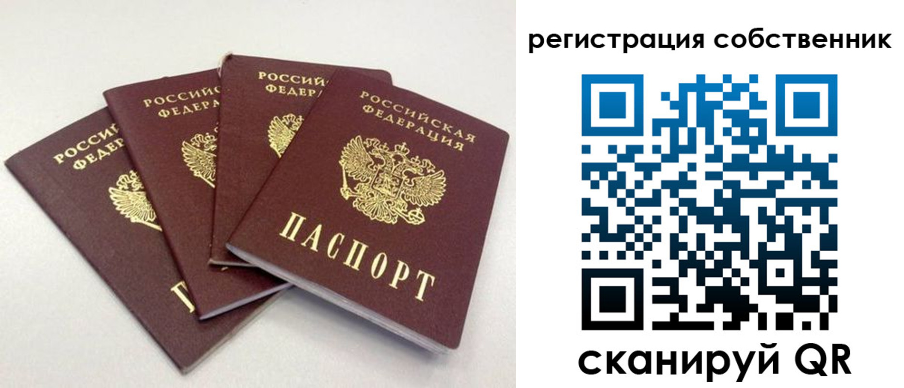 прописка для школы в Бабаево